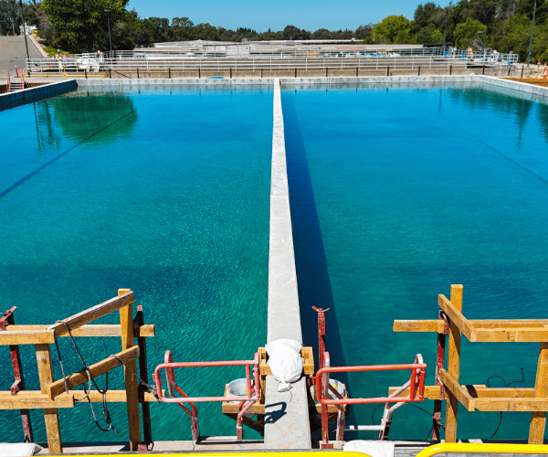 An outdoor basin with clear blue water and surrounding trees.